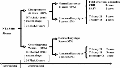 Does Increased Nuchal Translucency Indicate A Fetal Abnormality A