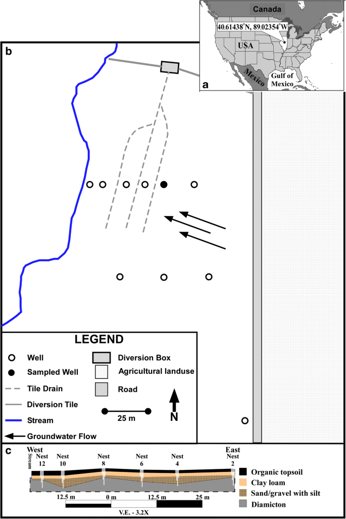 Diurnal And Seasonal Variation In Nitrate Nitrogen Concentrations Of Groundwater In A Saturated Buffer Zone Springerlink