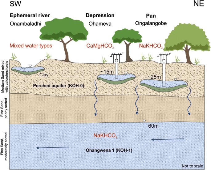 The role of local perched aquifers in regional groundwater recharge in  semi-arid environments: evidence from the Cuvelai-Etosha Basin, Namibia |  SpringerLink