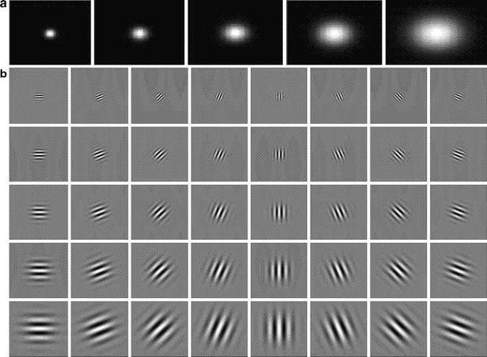 A review on Gabor wavelets for face recognition | SpringerLink