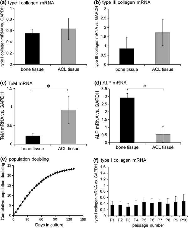 The Behavior Of Ligament Cells Cultured On Elastin And Collagen Scaffolds Springerlink