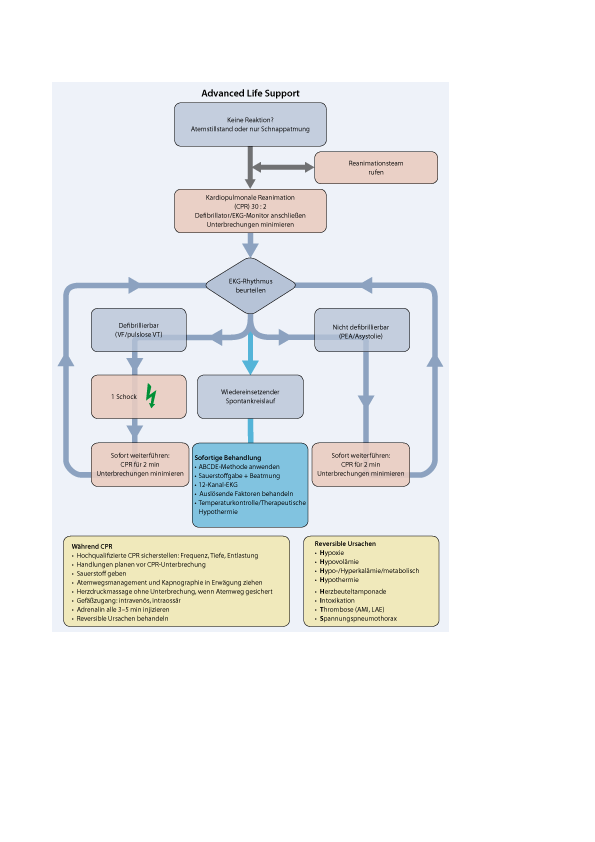 Erweiterte Reanimationsmaßnahmen für Erwachsene („advanced life support“) |  Notfall + Rettungsmedizin