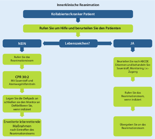 Erweiterte Reanimationsmassnahmen Fur Erwachsene Adult Advanced Life Support Springerlink
