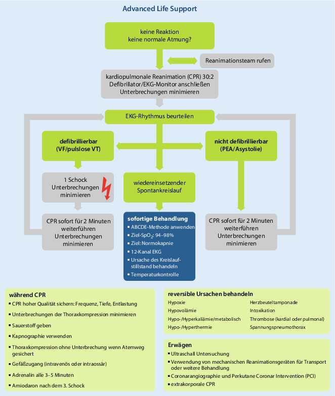 Erweiterte Reanimationsmassnahmen Fur Erwachsene Adult Advanced Life Support Springerlink