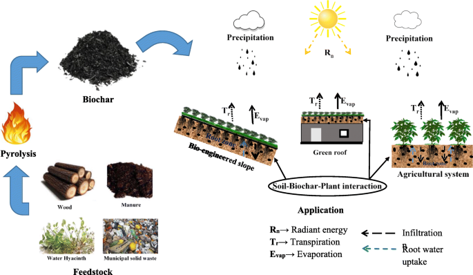 Soil-biochar-plant interaction: differences from the perspective of  engineered and agricultural soils | SpringerLink