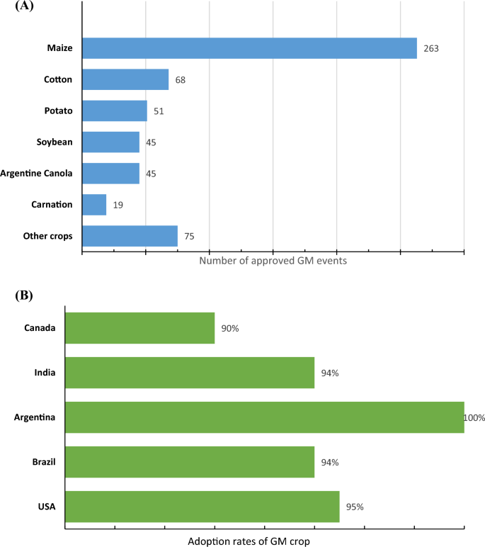 Genetically modified crops and sustainable development: navigating ...