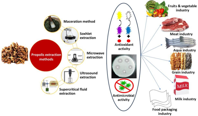 Propolis Extraction Methods Recent developments and innovative application of propolis in the food ...