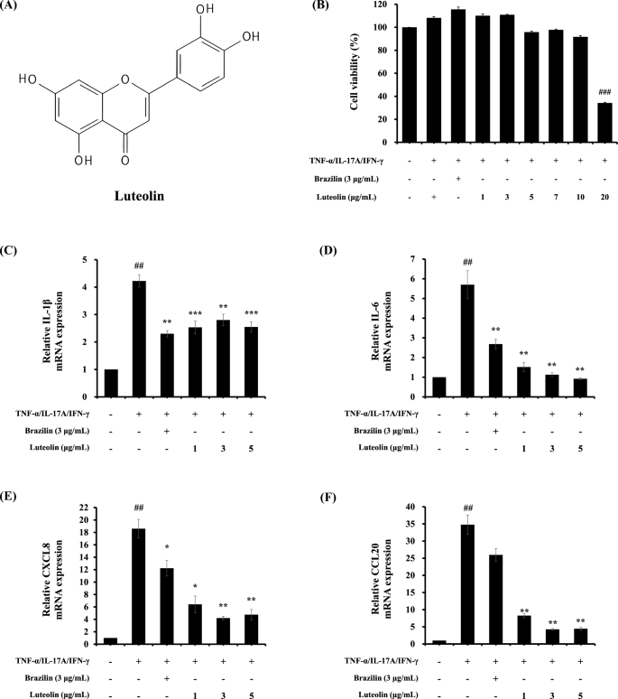 Therapeutic potential of phytochemical luteolin in restoring skin ...