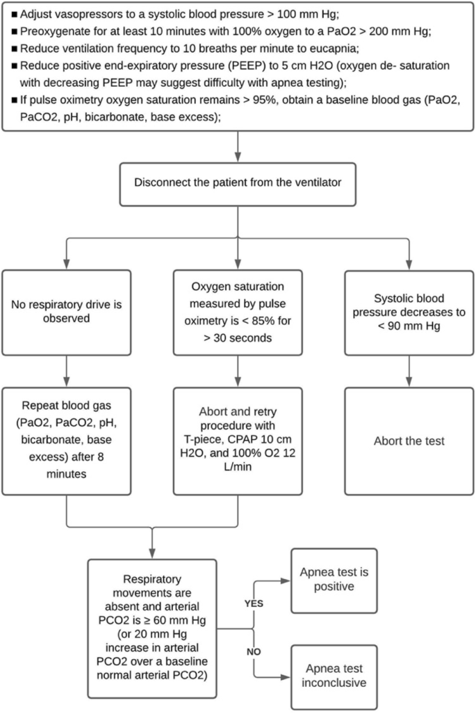 Brain Death And Management Of The Potential Donor Springerlink