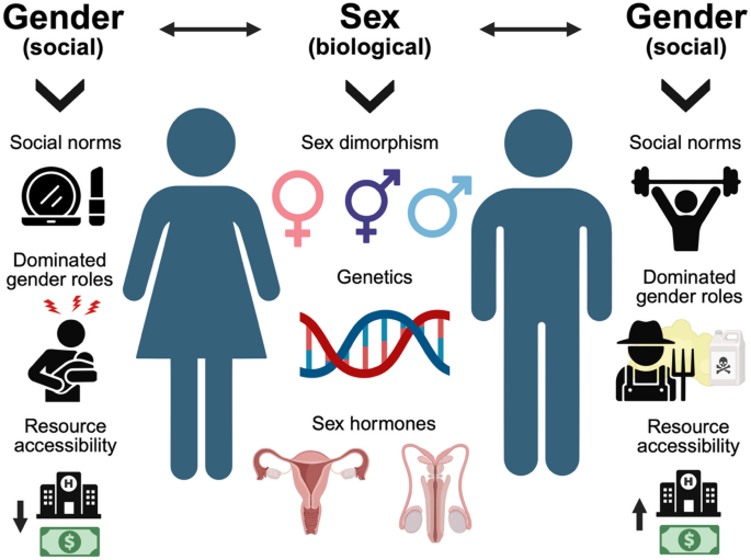 Differentiating between the impact of sex and gender in Parkinson’s ...