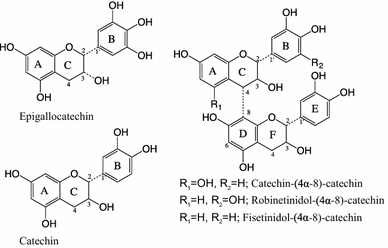 Structural elucidation of condensed tannin from the bark waste of Acacia  crassicarpa plantation wood in Indonesia | Journal of Wood Science | Full  Text