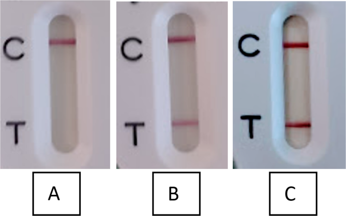 Ctx M Injection Comparison of three immunochromatographic assays for the rapid ...