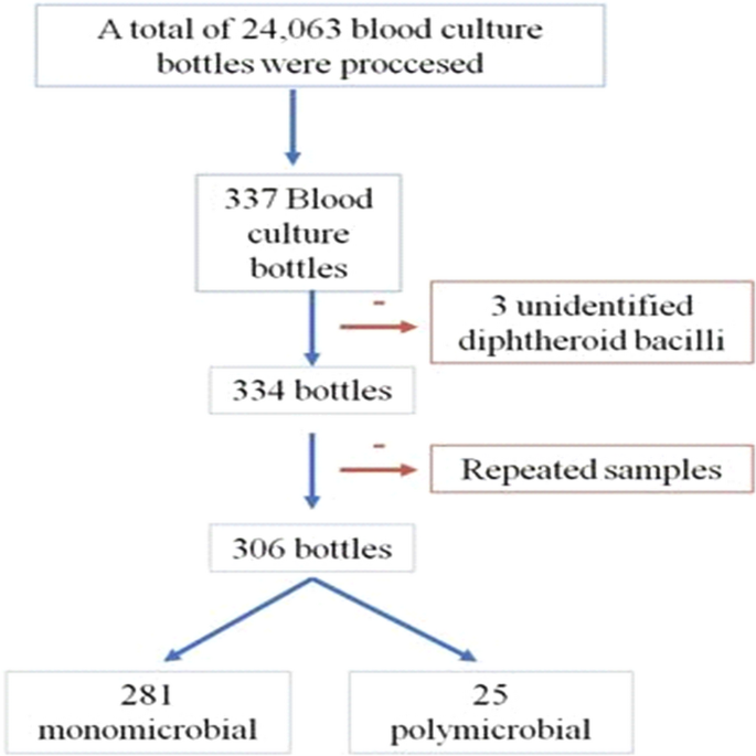 Direct MALDI-TOF MS identification and EUCAST RAST from positive blood ...