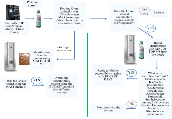 Direct MALDI-TOF MS identification and EUCAST RAST from positive blood ...