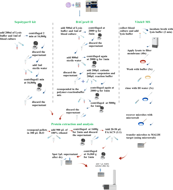 Clinical application of MALDI-TOF MS for direct and rapid pathogen ...