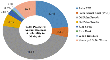 Overview of the key risks in the pioneering stage of the Malaysian 