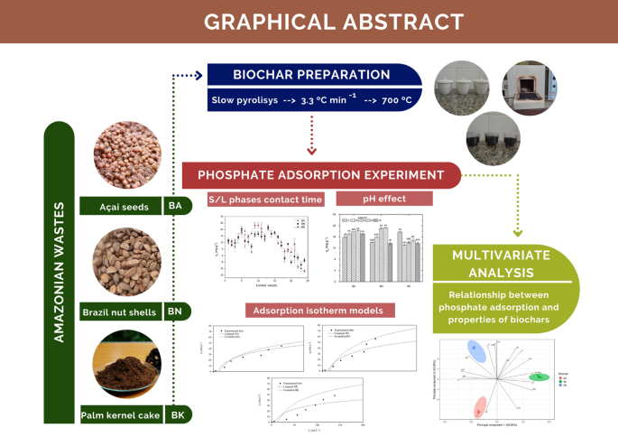 Biochars from agro-industrial residues of the Amazon: an ecological  alternative to enhance the use of phosphorus in agriculture | SpringerLink