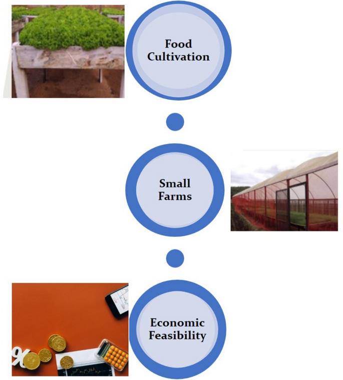 Economic feasibility of adopting a hydroponics system on substrate