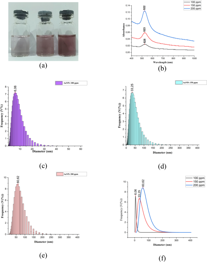 Antifungal activity of gold nanoparticles synthesized by laser ablation ...