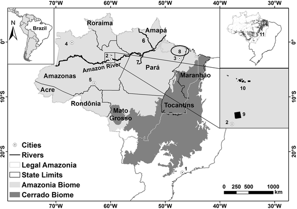 Brazil's Amazonian forest carbon: the key to Southern Amazonia's  significance for global climate | SpringerLink