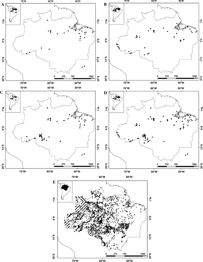 Brazil S Amazonian Forest Carbon The Key To Southern Amazonia S Significance For Global Climate Springerlink Brazil S Amazonian Forest Carbon The Key To Southern Amazonia S Significance For Global Climate Springerlink