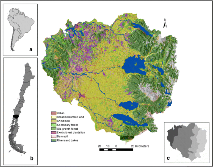 Spatio-temporal change of ecosystem services as a key to understand natural  resource utilization in Southern Chile | SpringerLink