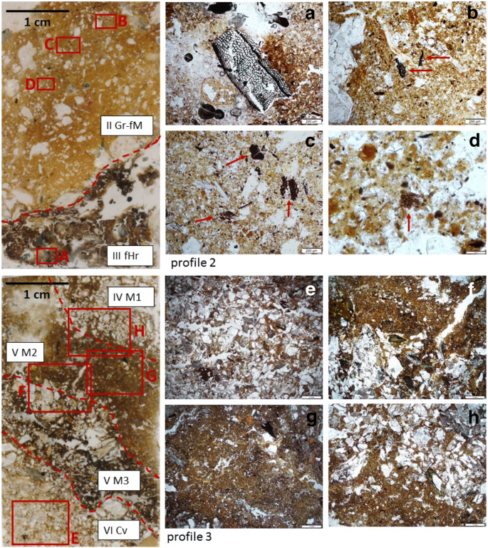 Past Human Impact In A Mountain Forest Geoarchaeology Of A Medieval Glass Production And Charcoal Hearth Site In The Erzgebirge Germany Springerlink