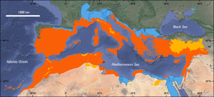 wetlands biome map