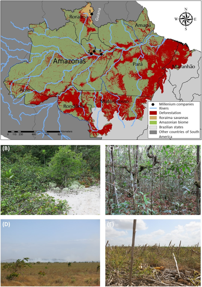Brazil's planned exploitation of Amazonian indigenous lands for commercial  agriculture increases risk of new pandemics | SpringerLink