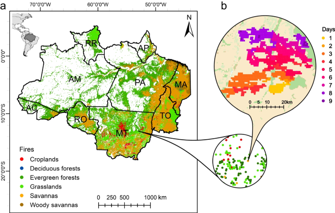 Characterization of land cover-specific fire regimes in the Brazilian Amazon  | SpringerLink