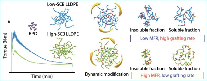 Processability and Structure of Dynamically Modified Linear Low-density ...