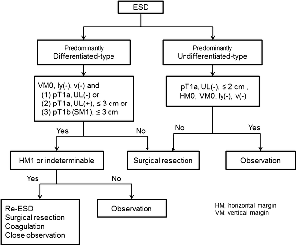 gastric cancer treatment guidelines)