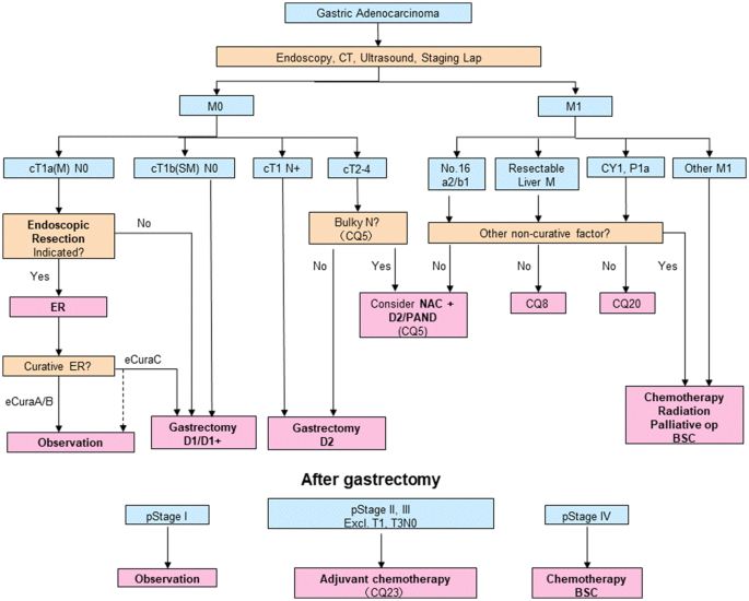 gastric cancer guidelines