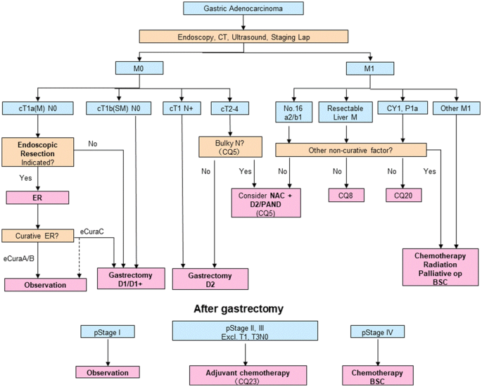 Gastric cancer treatment guidelines Gastric cancer guideline