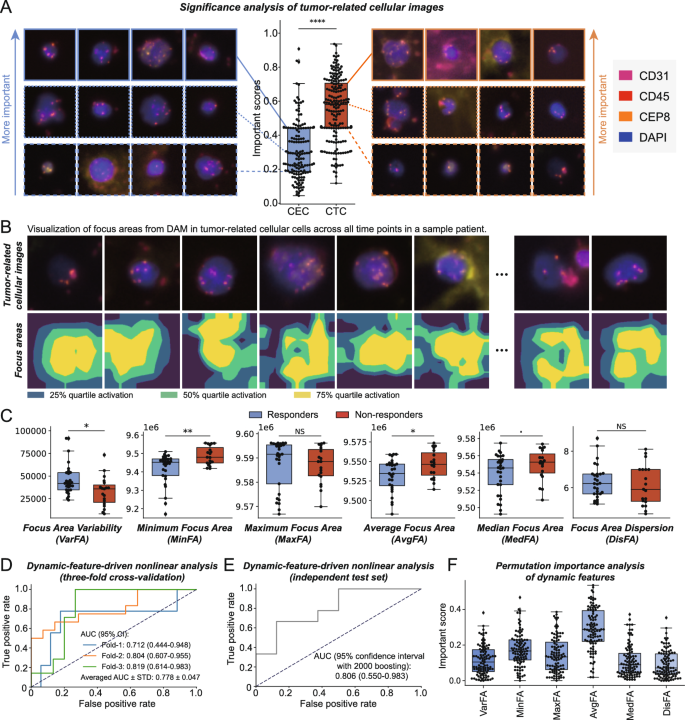 Liquid Longitudinal Study Predicting response to patients with gastric cancer via a dynamic-aware ...