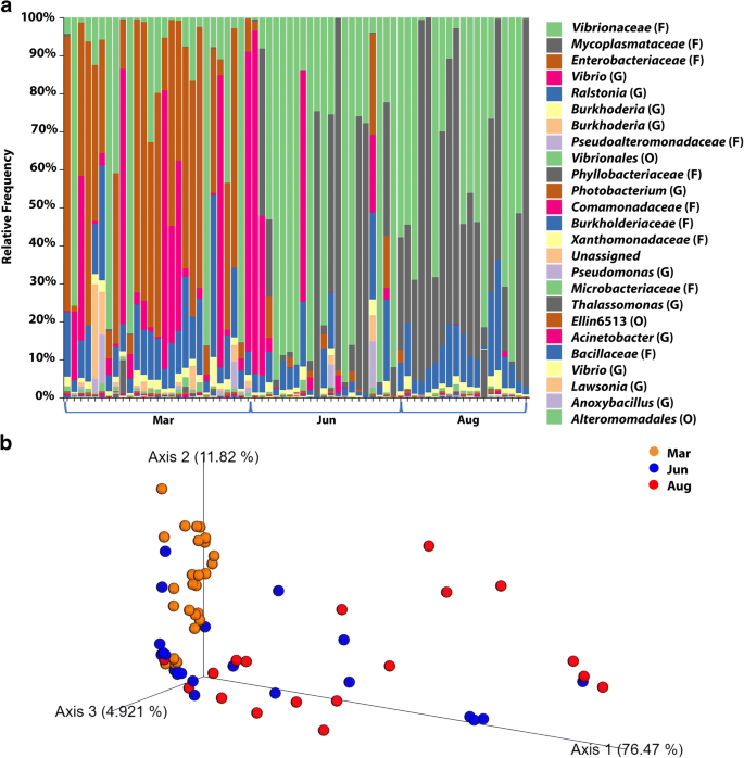 Atlantic Salmon Salmo Salar L 1758 Gut Microbiota Profile Correlates With Flesh Pigmentation Cause Or Effect Springerlink