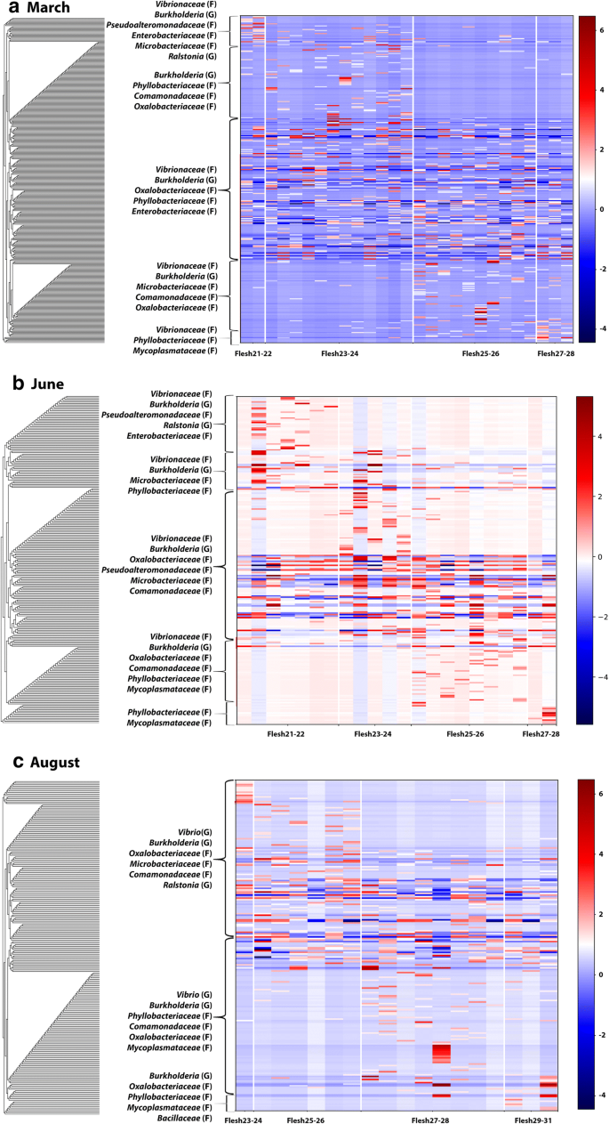 Atlantic Salmon Salmo Salar L 1758 Gut Microbiota Profile Correlates With Flesh Pigmentation Cause Or Effect Springerlink Atlantic Salmon Salmo Salar L 1758 Gut Microbiota Profile Correlates With Flesh Pigmentation Cause Or Effect Springerlink