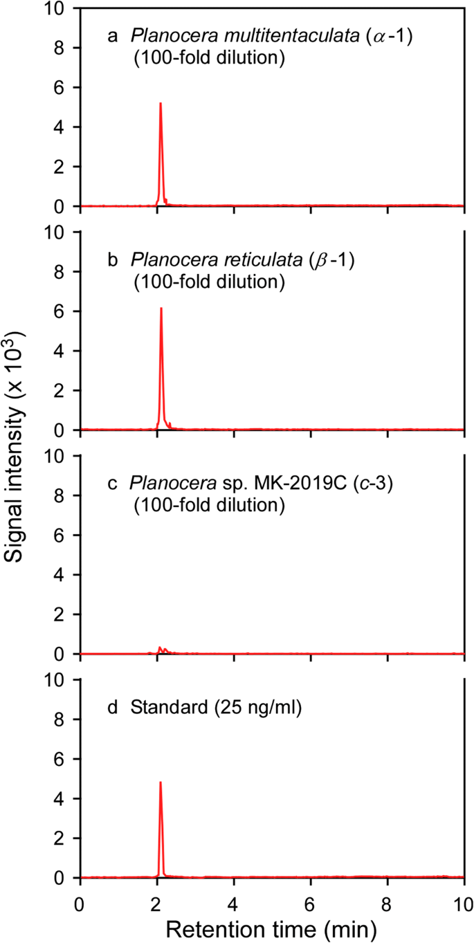 Taxonomic Distribution Of Tetrodotoxin In Acotylean Flatworms Polycladida Platyhelminthes Springerlink Taxonomic Distribution Of Tetrodotoxin In Acotylean Flatworms Polycladida Platyhelminthes Springerlink