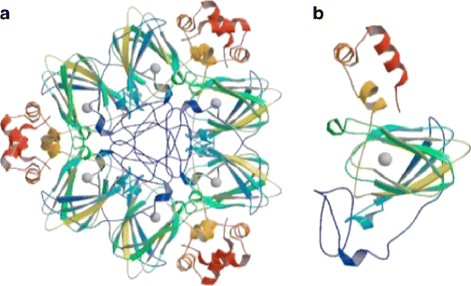 Molecular Characterization of Germin-like Protein Genes in Zea