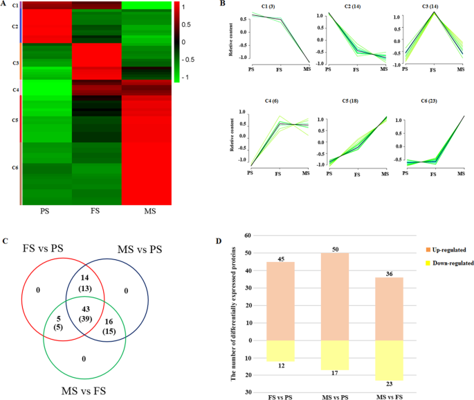 Cholesterol-Lowering Activity of Tartary Buckwheat Protein