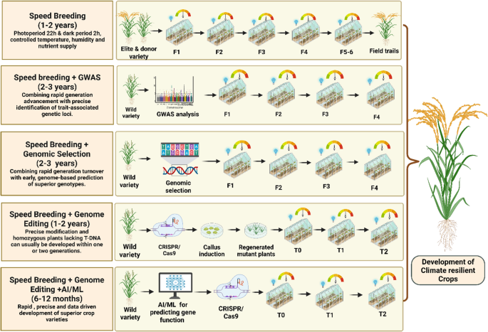 Smart Breeding Technology Precision breeding in a changing climate: unlocking resilience through ...