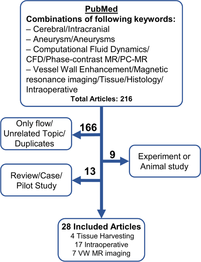 The Association Between Hemodynamics And Wall Characteristics In Human Intracranial Aneurysms A Review Springerlink