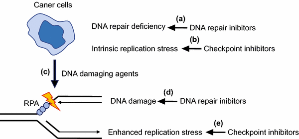 springerlink