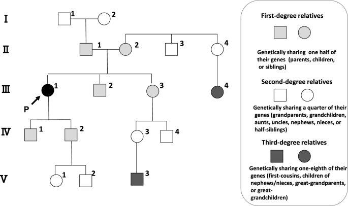 figure 30