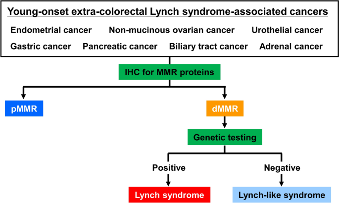 Lynch Shell Sclerosis Lynch syndrome screening in patients with young-onset extra-colorectal ...
