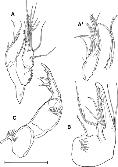 figure 26