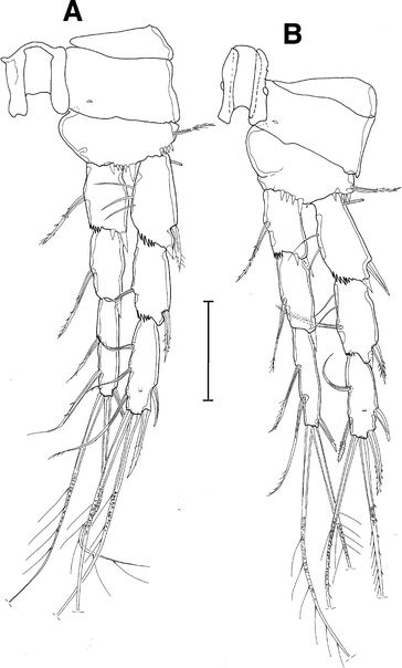 figure 28