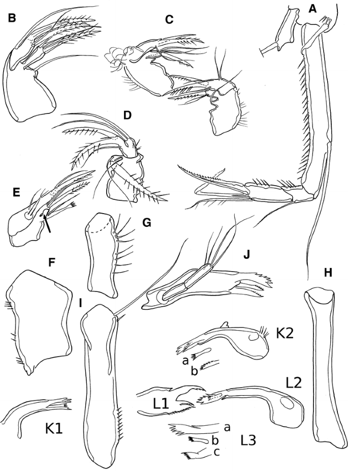 figure 30