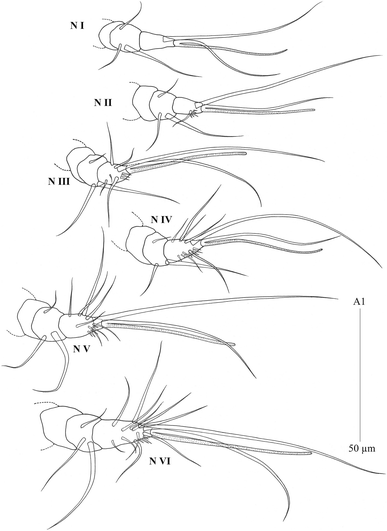 figure 17