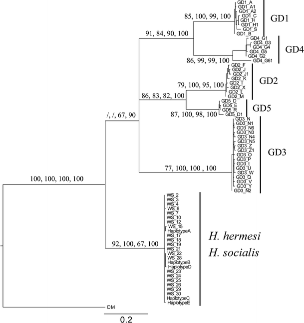 figure 11